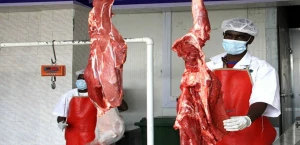 Sheep, Lamb, Goat, Beef and Camel Meat