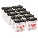 Industrial Secondary Raw Material Drained Lead Acid Battery Scrap Featuring Clean Separation
