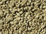 Green Coffee Beans