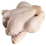 High Quality HALAL IQF Frozen Chicken Feet (Body Part)-Gluten-Free & Nutritious Top Grade 24 Days Shelf Life