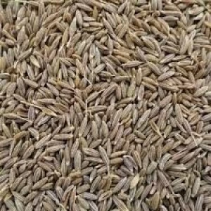 Premium Quality Organic Cumin Seeds 99.98% Pure
