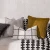 Import Home Decorative Double Sided Cushion Cover, Pillowcase, 30 x50cm, PMBZ2109036 from China