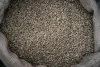 Indonesian Arabica Mandheling Green Coffee Beans Grade 1