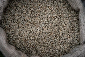 Indonesian Arabica Mandheling Green Coffee Beans Grade 1