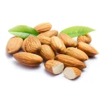 Wholesale Organic Dried Bitter Raw Almond Nuts Premium Quality High quality Buy in Stock Fast Delivery Cost