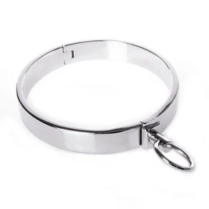 stainless steel collar