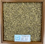 Vietnam Robusta Grade 1, Screen 18 Wet Polished