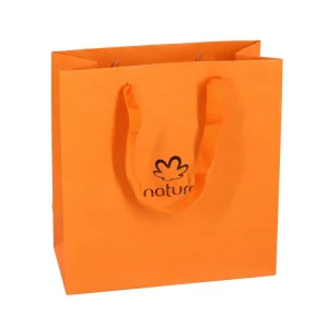 Biodegradable Custom Printed paper shopping bag