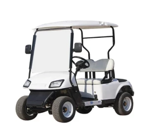 High Quality Long Range Low Speed 4 Wheel Club Drive Lithium Battery 2 Seat Buggy Electric Golf Cart