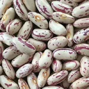 Light speckled kidney beans