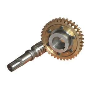 Worm gear and worm set 4