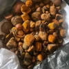 Best Quality Natural Dried Cow Ox Gallstones | Wholesale Cattle Gallstones for Export