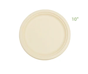 10" eco-friendly disposable bagasse plate
