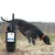 Import TR-Dog hounds tracking and tracking device Waterproof hunting dog GPS e-collar No sim card sport dog tracker from China