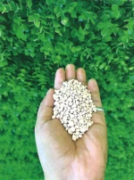 NPK Balanced Fertilizer