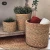 Handmade wicker