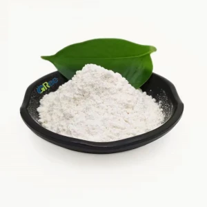 High-Amylose Starch for Food and Industrial Applications, Premium High-Amylose Starch Supplier, Bulk Exporter