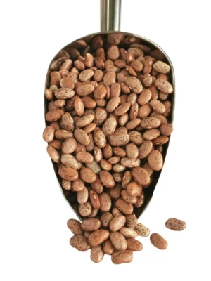 Top Supplier of Organic & Conventional Pinto Beans – Bulk Packaging Available
