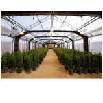 Skyplant Medical Plant Growing Fully Auto Blackout Shading Polycarbonate Greenhouse