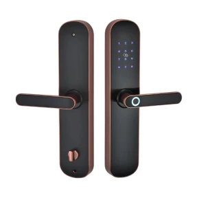 Fingerprint lock password lock all lock hotel magnetic card swipe induction lock Bluetooth apartment