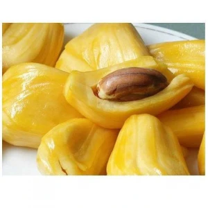 Fresh/Dried Jack fruit for export