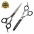 Import Barbar Scissors from Pakistan