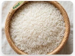 VIETNAM LONG-GRAIN WHITE RICE 504 – BROKEN 25%