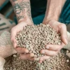 Blend Coffee Beans