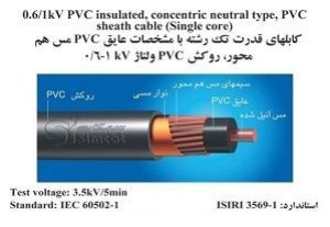 0.6/1kV PVC insulated, concentric neutral type, PVC sheath cable (Single core)