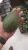 Import First Class Hass Avocados from Mexico