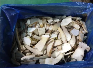 Healthy Wholesale Frozen Mushroom / Dried Mushroom