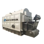 DZL Biomass Coal Fired Steam Boiler