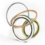 High-Performance PTFE Spring Energized Lip Seals – Reliable Sealing Solutions for Extreme Conditions