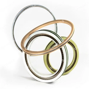 High-Performance PTFE Spring Energized Lip Seals – Reliable Sealing Solutions for Extreme Conditions