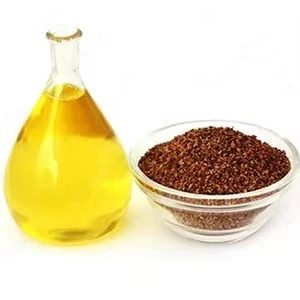 Bulk Canola Oil for Export – Pure Refined Edible Oil at Competitive Price