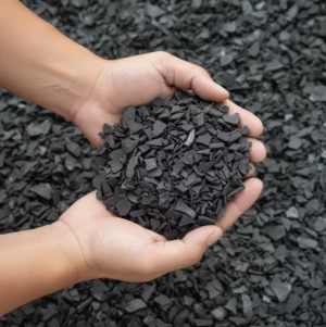 Coconut shell charcoal