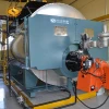 10 tph WNS gas-fired boiler project for pharmaceutical industry