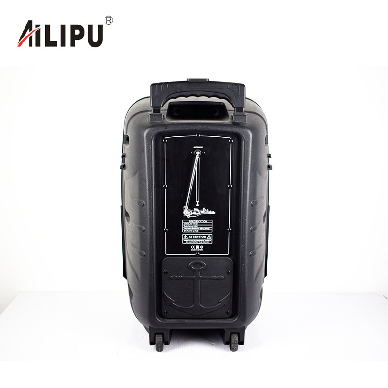 Buy 12 Inch Subwoofer Speaker Portable Trolley Speaker Audio Player ...
