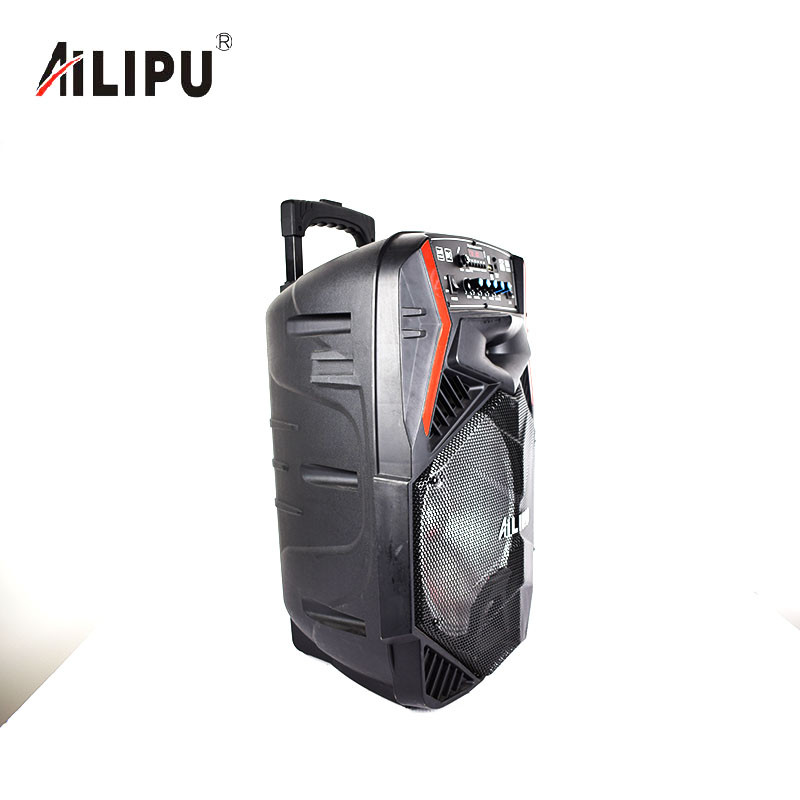 Buy 12 Inch Subwoofer Speaker Portable Trolley Speaker Audio Player ...