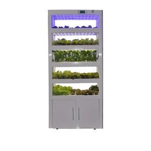 120 Holed Vegetable, Flower Growing Box, Plants, Seeds Growing Tray For Sale
