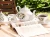 Import 17 Piece bone china Ceramic Coffee Tea Gift Sets fine bone china tea cup and saucer from China