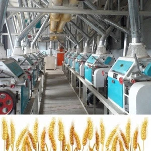 20 ton per day automatic low price wheat flour mill plant