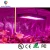 Import 2000W Full Spectrum LED Grow Light for indoor plants grow led light greenhouse led from China