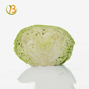 2016 fresh chinese cabbage import white cabbage/fresh green cabbage