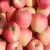 Import 2018 corp  Fresh Fuji Apple From China ,Cheap Fresh Red Apple ,red apply Apple from China