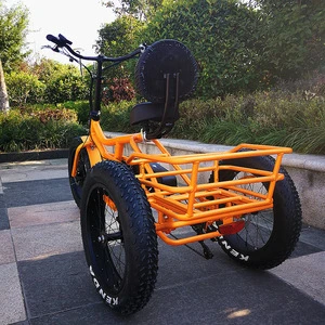 2018 hot golf 3 wheel electric bike adult 3 wheel electric bicycle RSD701