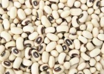 2018 new crop black eye bean/white cowpea bean for sale