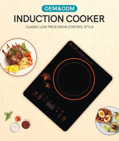 2021 Factory Price 2000W Touch Induction Cooker Stove Black Single Cooker Induction Cooktop