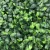 Import 2021 Top Sale Vertical Garden Fence PE Green Leaf Fence Plant Wall Artificial Boxwood Panel With Milan Grass Hedge Wall from China