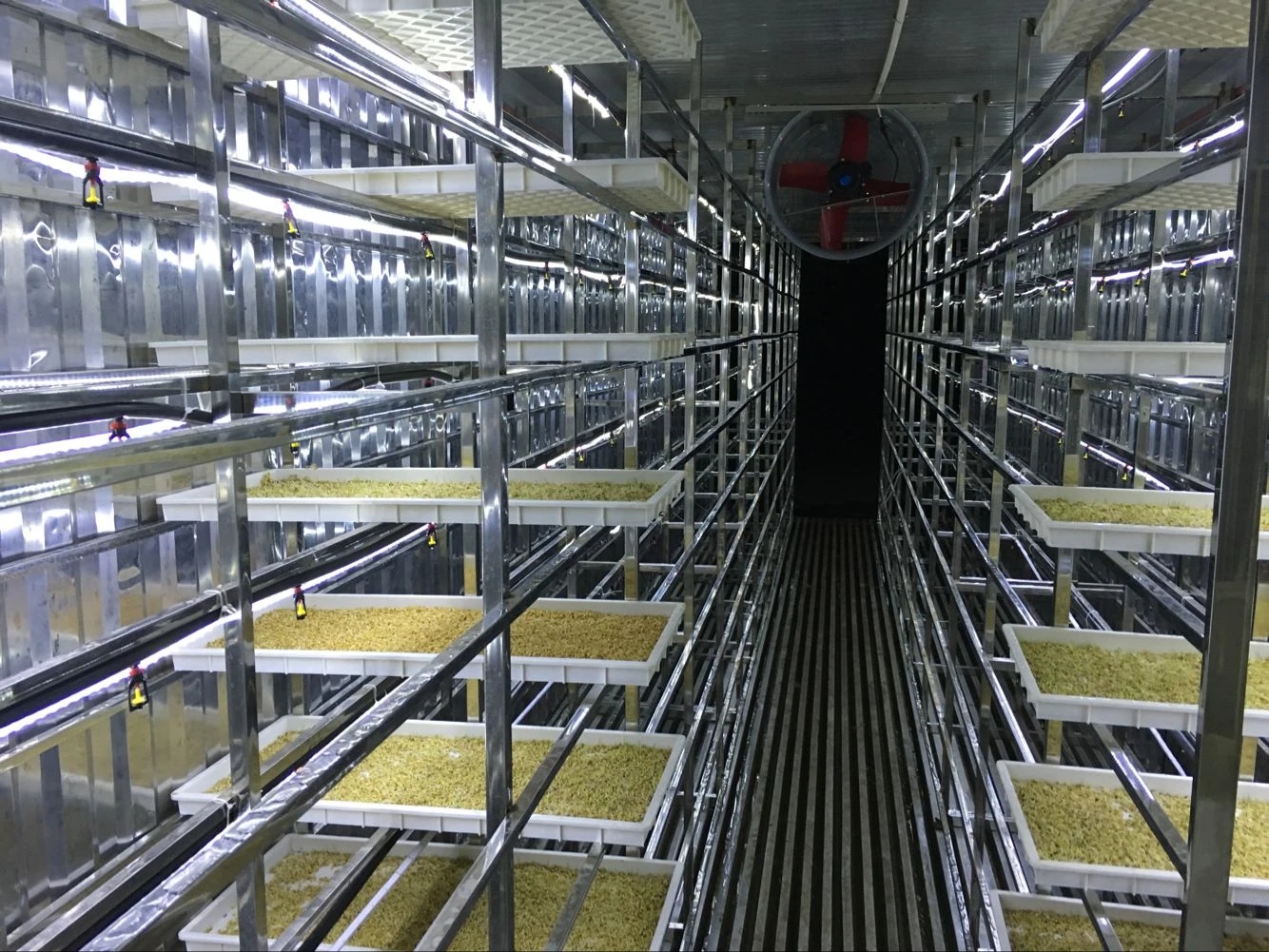 20GP container barley breeding rooms for planting green fodder